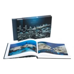 700 Requins Dans La Nuit Laurent BALESTA - Andromede -Promos Bathypique Boutique andromede 700 requins dans la nuit laurent balesta pas cher sub odyssee 5