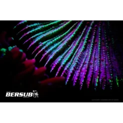 FLUORDIVE Filtre Jaune Pour Masque - Big Blue -Promos Bathypique Boutique fluordive filtre jaune pour masque big blue 2