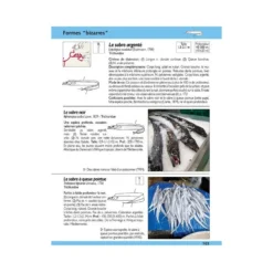Guide Identification Des Poissons Marins D'Europe & Méditerranée - ULMER -Promos Bathypique Boutique livre guide identification poissons marins europe mediterranee ulmer pas cher sub odyssee 2