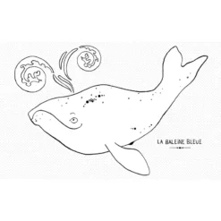 Cahier De Dessin Animé LA MER - Editions Animées -Promos Bathypique Boutique livre jeunesse cahier dessin anime a colorier claire fay editions animees pas cher lyon 5