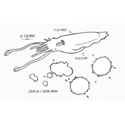 Cahier De Dessin Animé LA MER - Editions Animées -Promos Bathypique Boutique livre jeunesse cahier dessin anime a colorier claire fay editions animees pas cher lyon 7