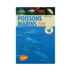 Poissons Marins 180 Espèces De Nos Côtes - ULMER