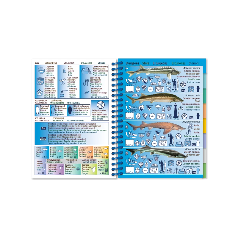 Livret Immergeable AQUA PICTOLIFE Poissons EAU DOUCE Europe De L'Ouest 3 Livret Immergeable AQUA PICTOLIFE Poissons EAU DOUCE Europe De L'Ouest – Image 3