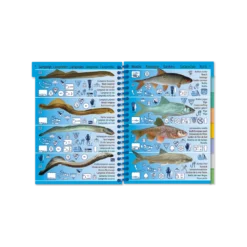 Livret Immergeable AQUA PICTOLIFE Poissons EAU DOUCE Europe De L'Ouest 11 Livret Immergeable AQUA PICTOLIFE Poissons EAU DOUCE Europe De L'Ouest -Promos Bathypique Boutique livret immergeable aqua pictolife poissons eau douce europe de l ouest 3