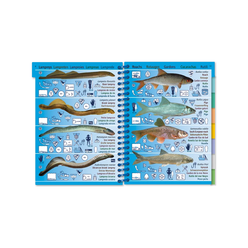 Livret Immergeable AQUA PICTOLIFE Poissons EAU DOUCE Europe De L'Ouest 4 Livret Immergeable AQUA PICTOLIFE Poissons EAU DOUCE Europe De L'Ouest – Image 4
