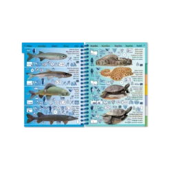 Livret Immergeable AQUA PICTOLIFE Poissons EAU DOUCE Europe De L'Ouest 12 Livret Immergeable AQUA PICTOLIFE Poissons EAU DOUCE Europe De L'Ouest -Promos Bathypique Boutique livret immergeable aqua pictolife poissons eau douce europe de l ouest 4
