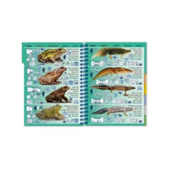 Livret Immergeable AQUA PICTOLIFE Poissons EAU DOUCE Europe De L'Ouest 13 Livret Immergeable AQUA PICTOLIFE Poissons EAU DOUCE Europe De L'Ouest -Promos Bathypique Boutique livret immergeable aqua pictolife poissons eau douce europe de l ouest 5