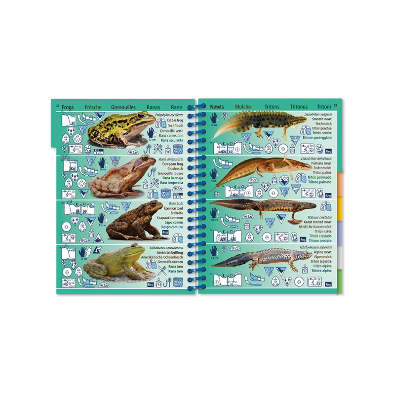 Livret Immergeable AQUA PICTOLIFE Poissons EAU DOUCE Europe De L'Ouest 6 Livret Immergeable AQUA PICTOLIFE Poissons EAU DOUCE Europe De L'Ouest – Image 6