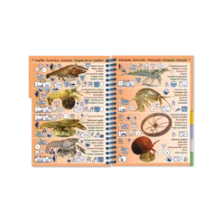 Livret Immergeable AQUA PICTOLIFE Poissons EAU DOUCE Europe De L'Ouest 14 Livret Immergeable AQUA PICTOLIFE Poissons EAU DOUCE Europe De L'Ouest -Promos Bathypique Boutique livret immergeable aqua pictolife poissons eau douce europe de l ouest 6