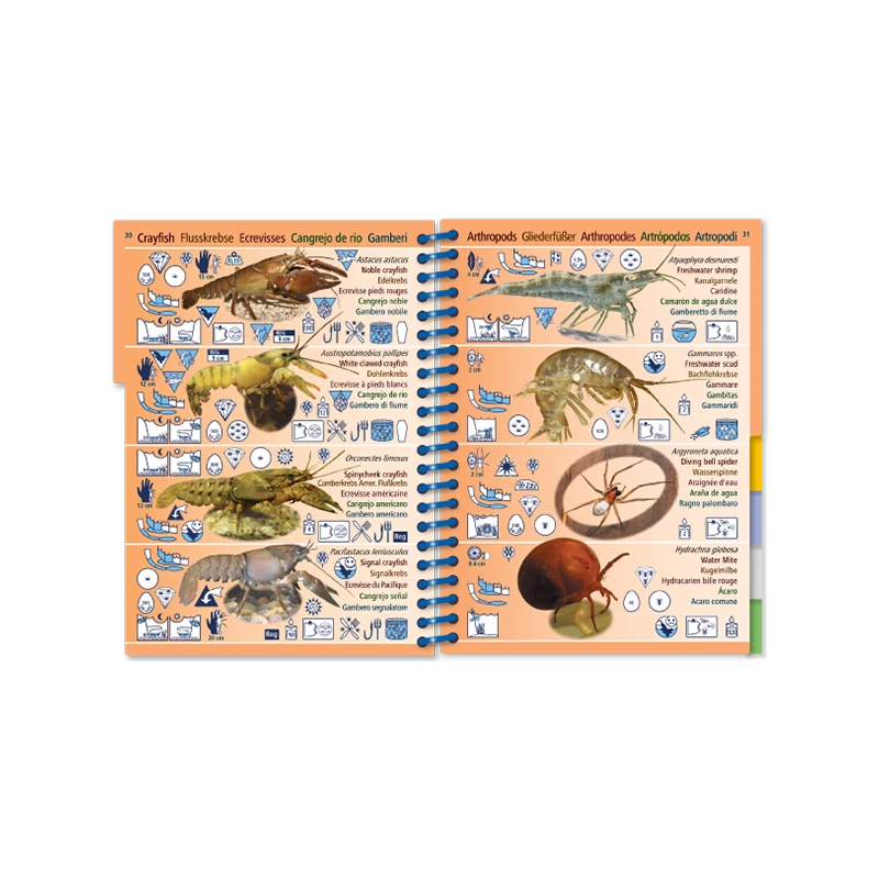Livret Immergeable AQUA PICTOLIFE Poissons EAU DOUCE Europe De L'Ouest 7 Livret Immergeable AQUA PICTOLIFE Poissons EAU DOUCE Europe De L'Ouest – Image 7