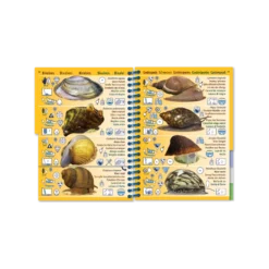 Livret Immergeable AQUA PICTOLIFE Poissons EAU DOUCE Europe De L'Ouest 15 Livret Immergeable AQUA PICTOLIFE Poissons EAU DOUCE Europe De L'Ouest -Promos Bathypique Boutique livret immergeable aqua pictolife poissons eau douce europe de l ouest 7