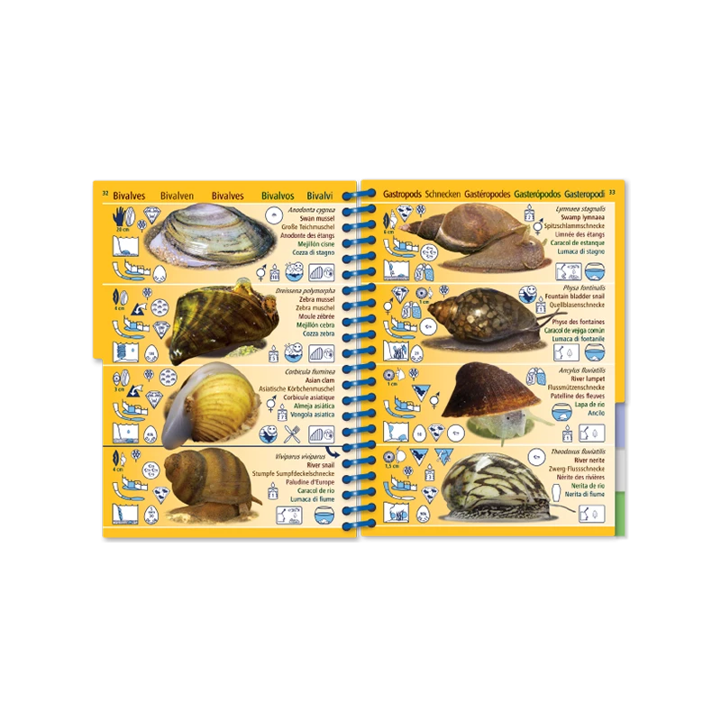 Livret Immergeable AQUA PICTOLIFE Poissons EAU DOUCE Europe De L'Ouest 8 Livret Immergeable AQUA PICTOLIFE Poissons EAU DOUCE Europe De L'Ouest – Image 8