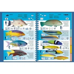 Livret Immergeable PICTOLIFE Caraibes Atlantique Tropicale -Promos Bathypique Boutique livret immergeable pictolife caraibes atlantique tropicale 2