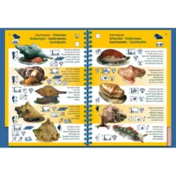 Livret Immergeable PICTOLIFE Caraibes Atlantique Tropicale -Promos Bathypique Boutique livret immergeable pictolife caraibes atlantique tropicale 3