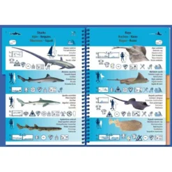 Livret Immergeable PICTOLIFE Caraibes Atlantique Tropicale -Promos Bathypique Boutique livret immergeable pictolife caraibes atlantique tropicale 5