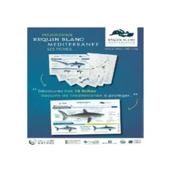 Livret Multiplaquettes REQUINS EN DANGER - Longitude 181 -Promos Bathypique Boutique multi plaquette immergeable identification requins en danger longitude 181 pas cher palanquee sub odyssee lyon 4