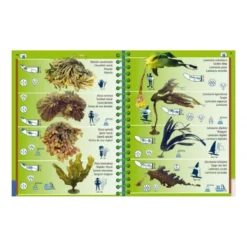 Livret Immergeable PICTOLIFE Atlantique Est à Marée Basse -Promos Bathypique Boutique pictolife livret immergeable faune flore sous marine atlantique est a maree basse pas cher sub odyssee 2