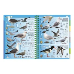 Livret Immergeable PICTOLIFE Atlantique Est à Marée Basse -Promos Bathypique Boutique pictolife livret immergeable faune flore sous marine atlantique est a maree basse pas cher sub odyssee 3