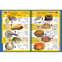 Livret Immergeable PICTOLIFE Atlantique Tempérée -Promos Bathypique Boutique pictolife livret immergeable faune flore sous marine atlantique temperee pas cher sub odyssee 3