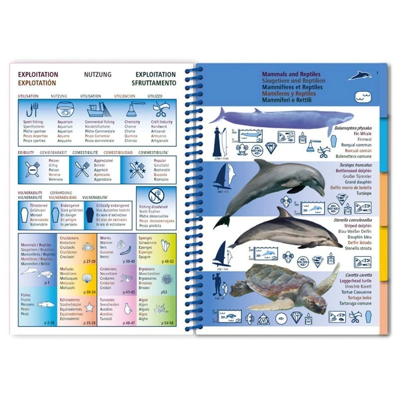 Livret Immergeable PICTOLIFE Méditerranée 2 Livret Immergeable PICTOLIFE Méditerranée – Image 2