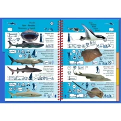 Livret Immergeable PICTOLIFE Mer Rouge & Ocean Indien -Promos Bathypique Boutique pictolife livret immergeable faune flore sous marine mer rouge ocean indien pas cher sub odyssee 2