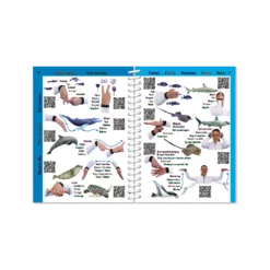 PICTOLIFE Signes Plongee -Promos Bathypique Boutique pictolife signes plongee 4