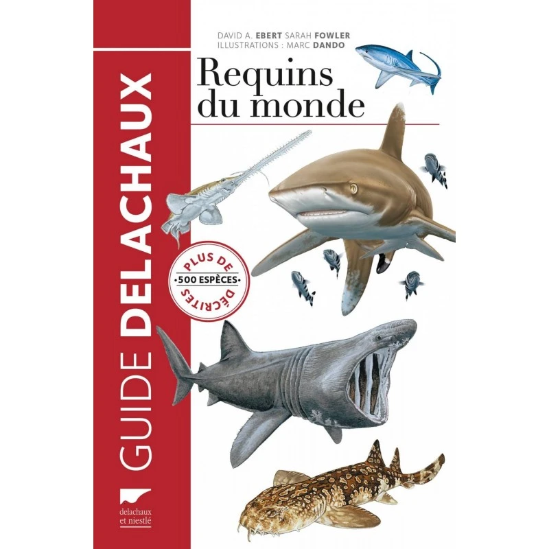 Requins Du Monde - Delachaux Et Niestlé 1 Requins Du Monde - Delachaux Et Niestlé