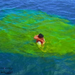 Sachet De Fluorescine 40g Dans Une Pochette étanche -Promos Bathypique Boutique sachet fluorescine 40 g colorant fluorescent eau aquatys pas cher palanquee sub odyssee lyon 2