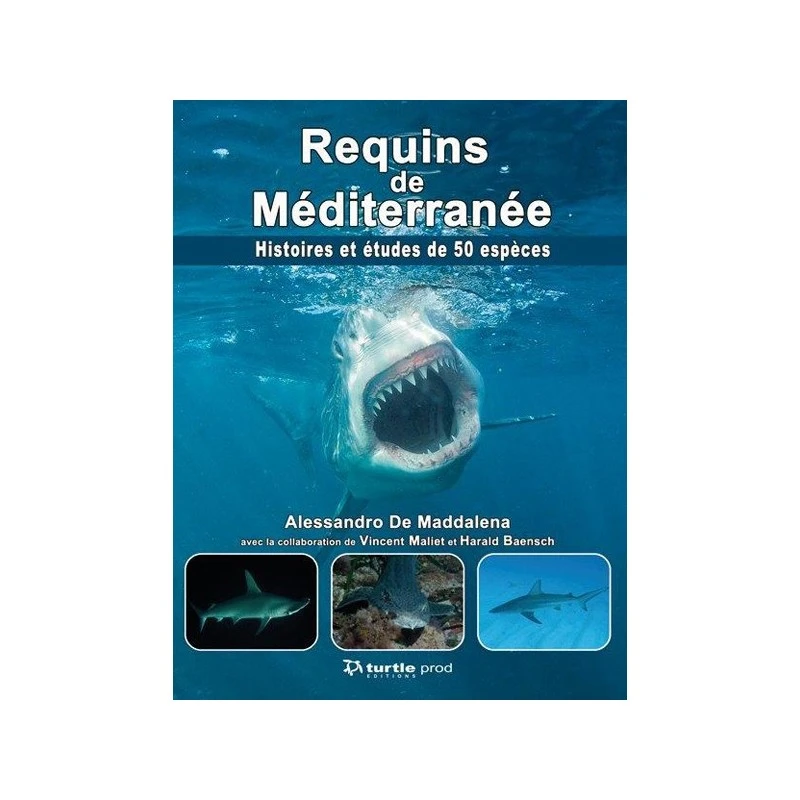 Requins De Méditerranée - Turtle Prod 1 Requins De Méditerranée - Turtle Prod