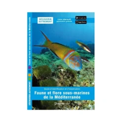 Découvrir Autrement, Faune & Flore Sous-marine, Méditerranée