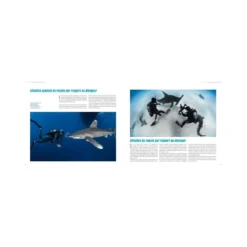 Requins, Guide De L’interaction - Turtle Prod 11 Requins, Guide De L’interaction - Turtle Prod -Promos Bathypique Boutique turtleprod requins guide de linteraction pas cher sub odyssee lyon 3