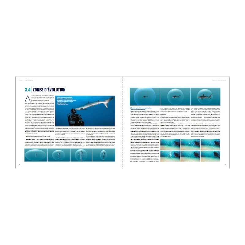 Requins, Guide De L’interaction - Turtle Prod 6 Requins, Guide De L’interaction - Turtle Prod – Image 6
