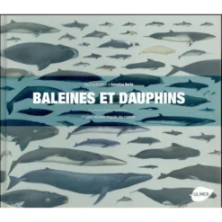 Baleines & Dauphins - Histoire Naturelle & Guide Des Espèces - ULMER