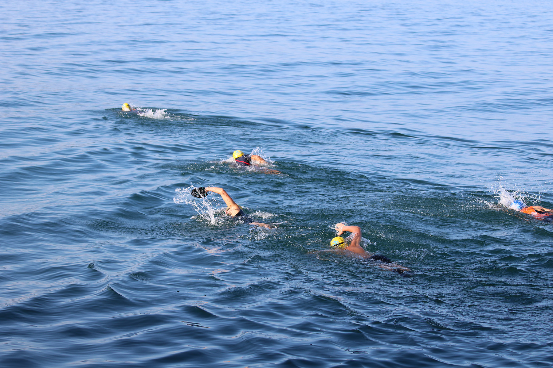 Promos Bathypique Boutique -Promos Bathypique Boutique Photo SwimRun IMG 2380 1